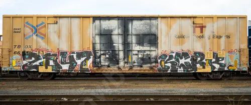 TBOX661483