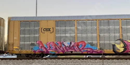 TTGX695509