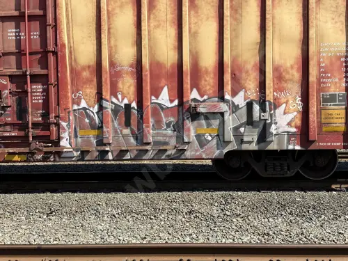 CP218253