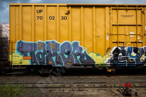UP700230