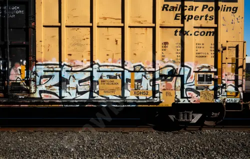 FBOX505190