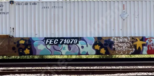 FEC71079