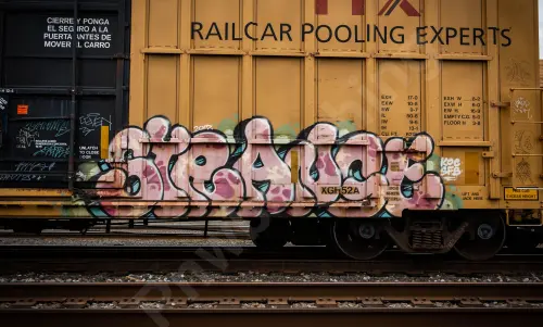 TBOX506688
