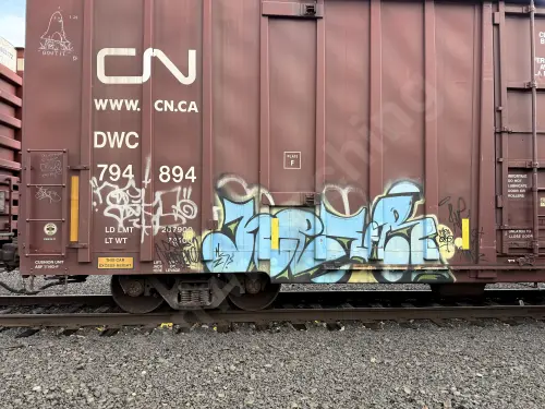 DWC794894