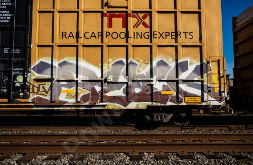 TBOX664808