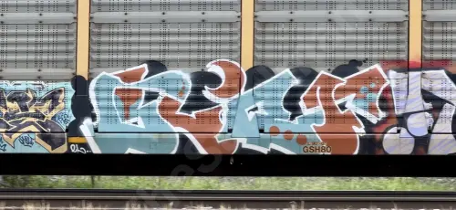 TTGX995495