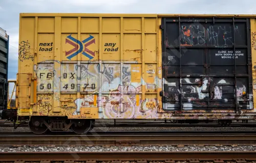 FBOX504970