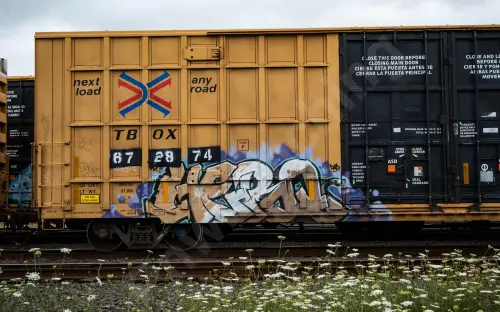 TBOX672874
