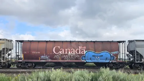 Train photo