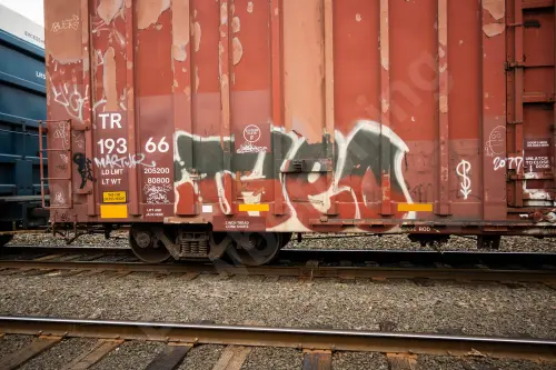 TR19366