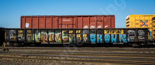 GNTX295022