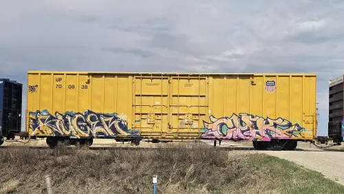 UP700838
