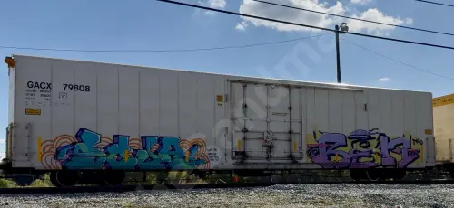 GACX79808