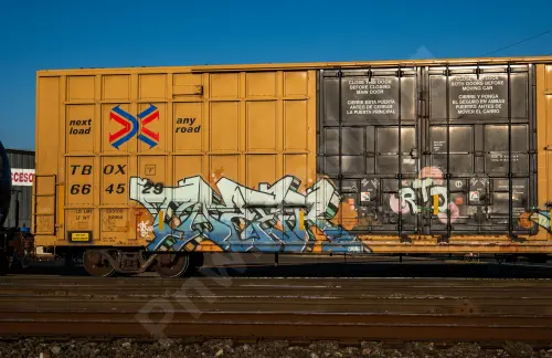 TBOX664529