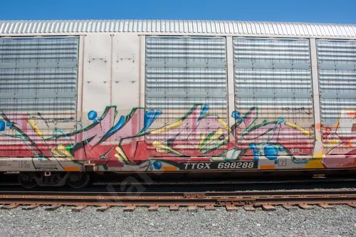 TTGX698288