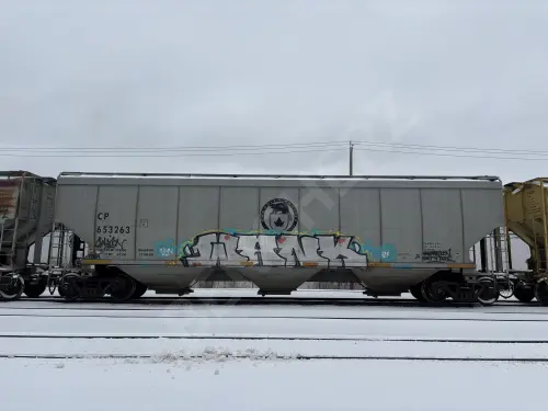 CP653263
