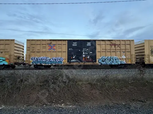Train photo