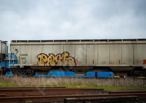 CGOX5901