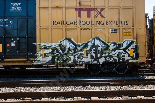 TBOX633146