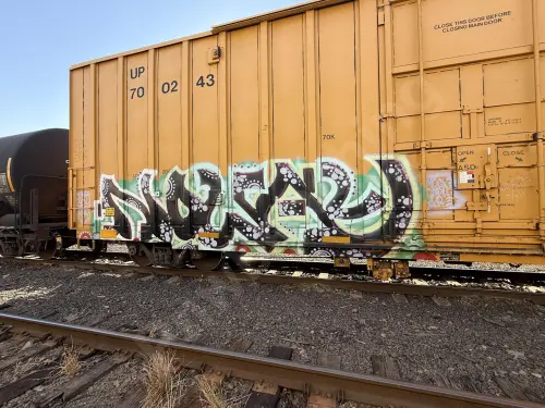 UP700243