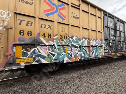 TBOX664830