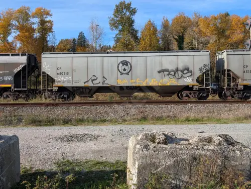 CP650615