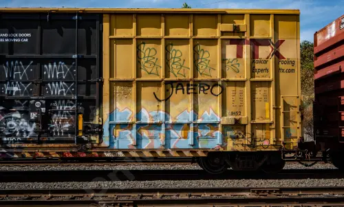 FBOX504312