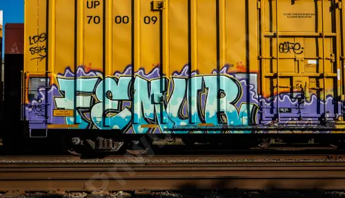 UP700009
