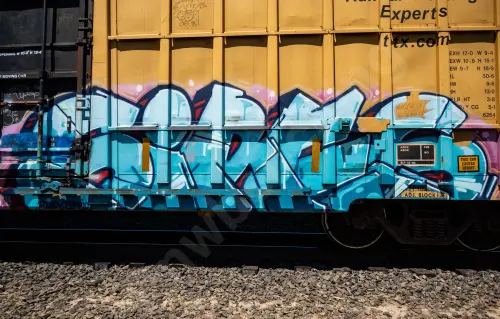 FBOX502159