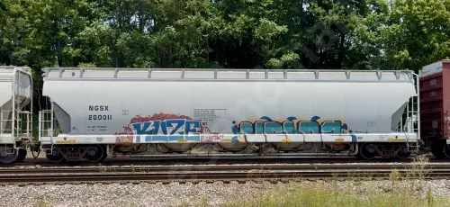 NGSX200011