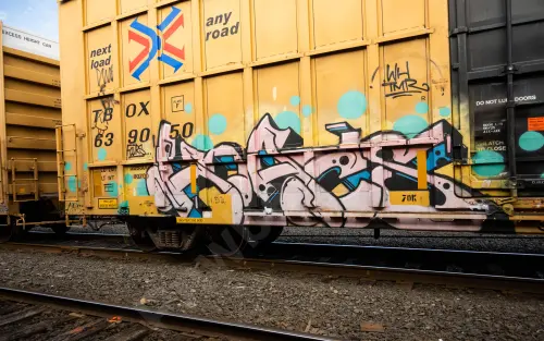 TBOX639050
