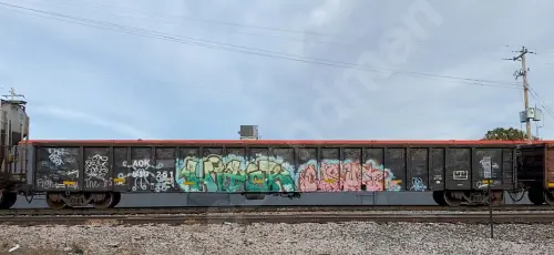 AOK519251