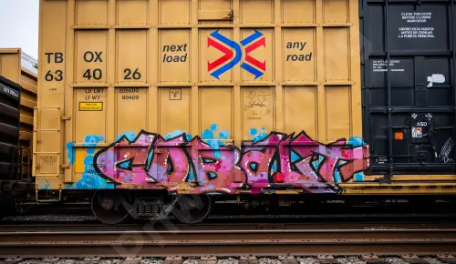 TBOX634026