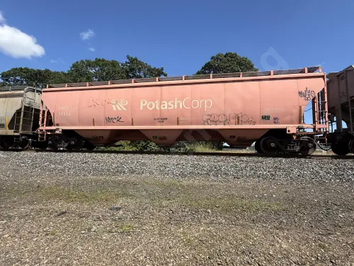 Train photo