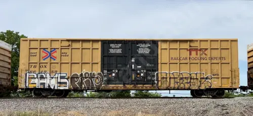 TBOX664959