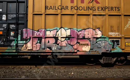 TBOX673847
