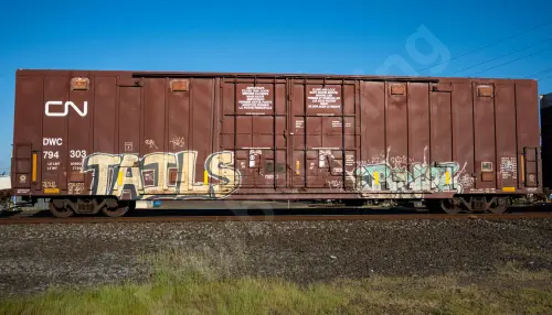 Train photo