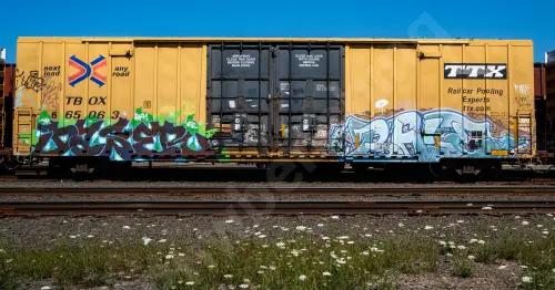 TBOX665063