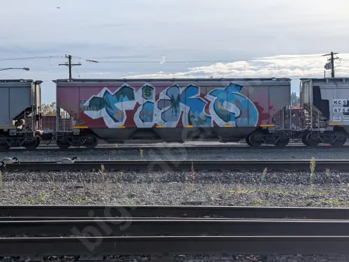 CP653305