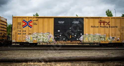 TBOX663054