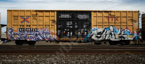 TBOX673029
