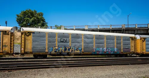 Train photo