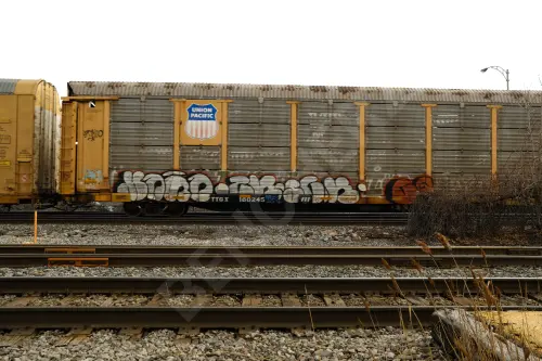 TTGX160245