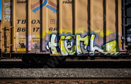 TBOX661766