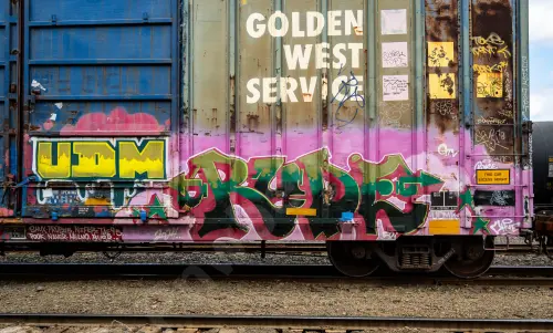 SSW67917