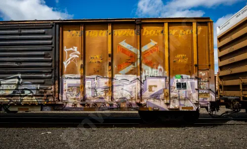 RBOX37342