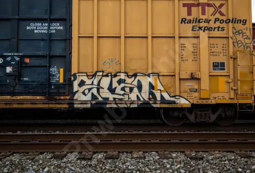 FBOX505484