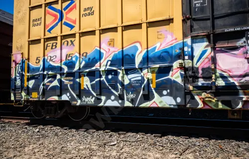 FBOX502159