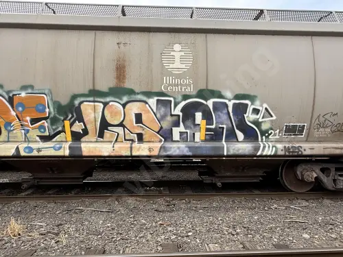 IC799424