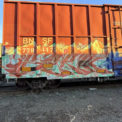 BNSF728417